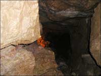 Picture 1 of which is place have most gold?