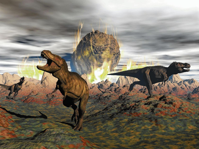 Picture 4 of Which species will 'inherit' the Earth when humans become extinct?