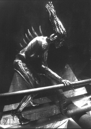 Picture 4 of Who created the blood-sucking monster Chupacabra?