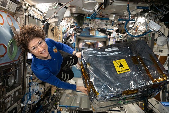 Picture 5 of Who is the female astronaut who set the longest working record in the universe?