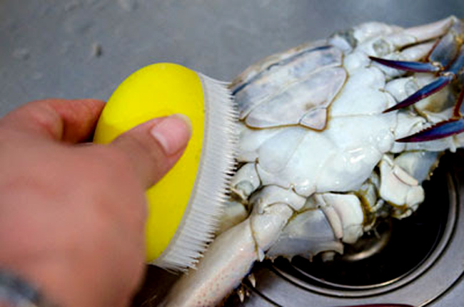 Picture 5 of Who should not eat crabs or crabs?