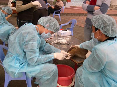 Picture 2 of Who volunteered to test the H5N1 vaccine?