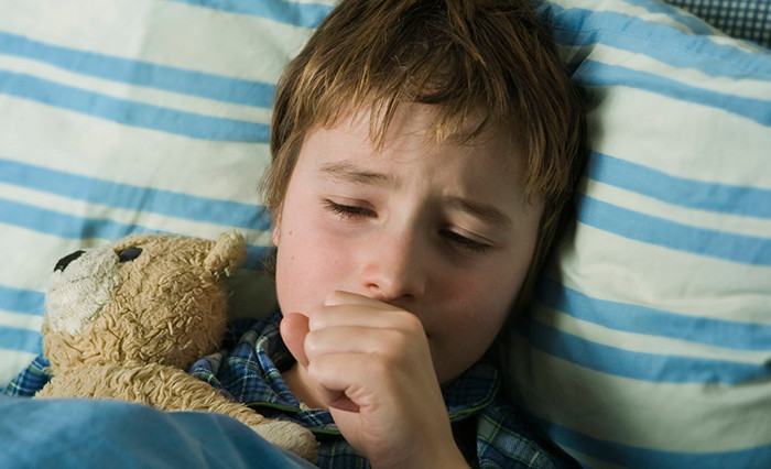 Picture 5 of Whooping cough: Causes, transmission, detection, treatment and prevention