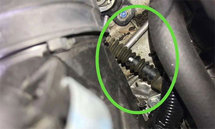 Picture 2 of Why are cars bitten by rats today?