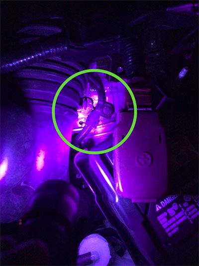Picture 3 of Why are cars bitten by rats today?