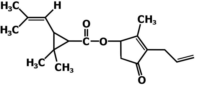 Picture 3 of Why are cockroaches tolerant to radiation but destroyed by insecticides?