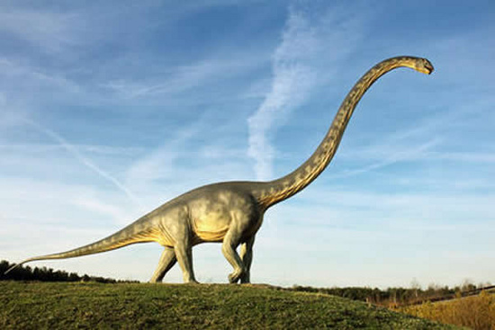 Picture 1 of Why are long-necked dinosaurs gigantic?