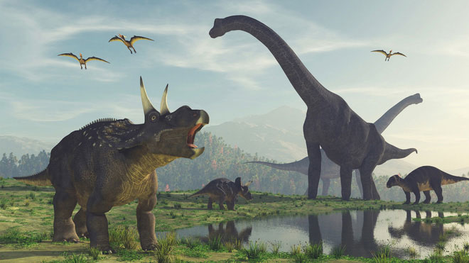 Why are prehistoric animals so much bigger than animals today?