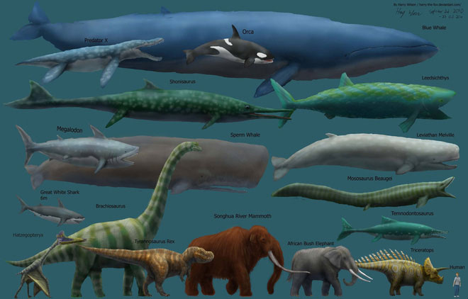 Picture 3 of Why are prehistoric animals so much bigger than animals today?