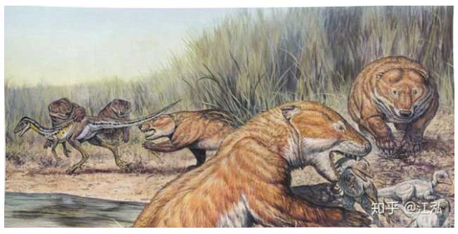 Picture 4 of Why aren't there giant mammals in the dinosaur era?