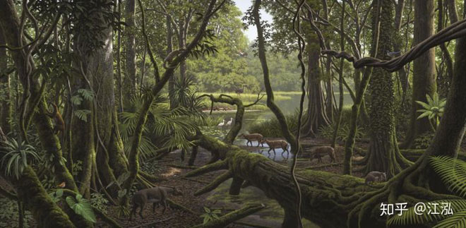 Picture 8 of Why aren't there giant mammals in the dinosaur era?