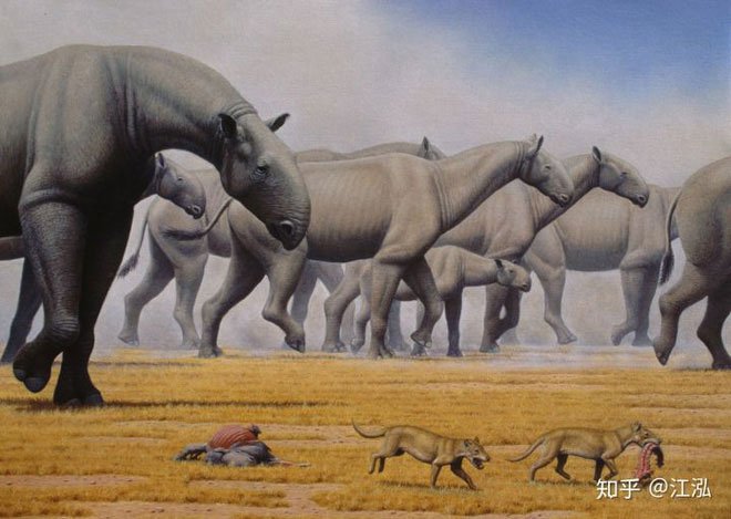 Picture 9 of Why aren't there giant mammals in the dinosaur era?