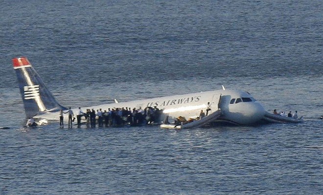 Picture 4 of Why can birds drop planes?