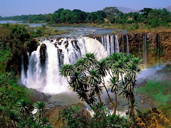 Picture 3 of Why can humans live at a height of 2,500m?
