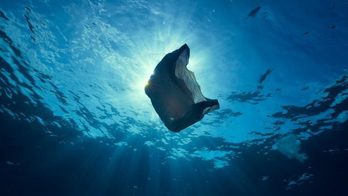 Picture 3 of Why can't marine animals stop eating plastic garbage?