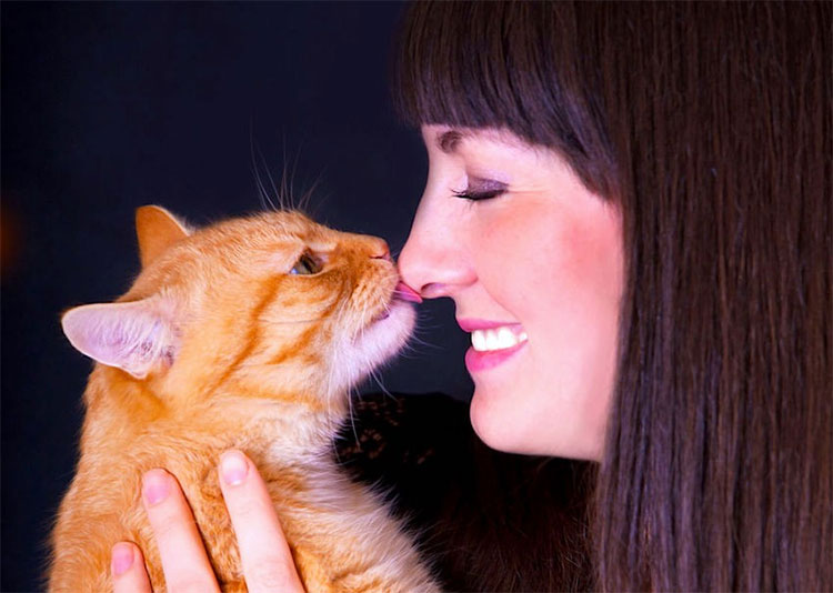 Picture 2 of Why cats lick you?  The answer is simple but not everyone knows!