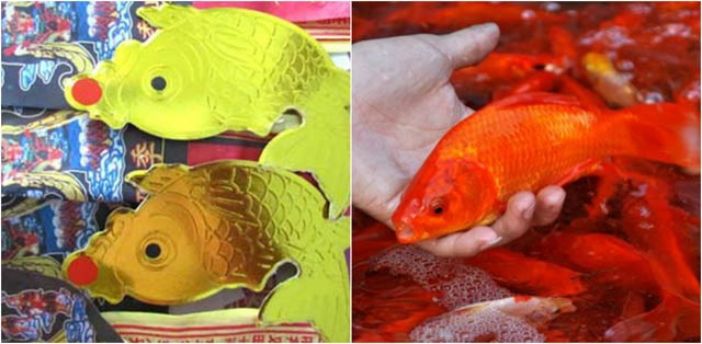 Picture 4 of Why did Mr. Tao Mr. Tao just drop carp?