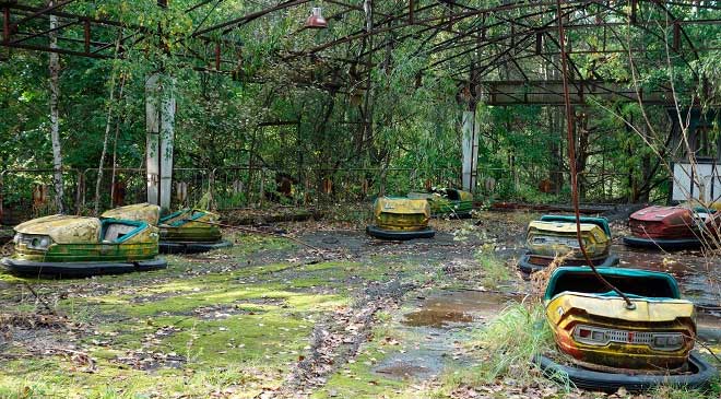 Picture 1 of Why did the Chernobyl atomic disaster not kill all plant species?