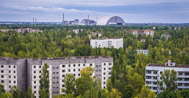 Picture 2 of Why did the Chernobyl atomic disaster not kill all plant species?