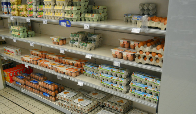 Picture 2 of Why do Americans put eggs in refrigerators and Europeans?