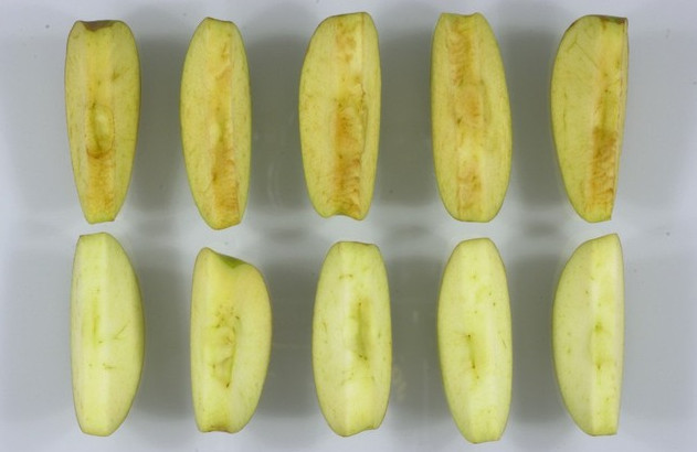 Picture 4 of Why do apple pieces turn brown after cutting?