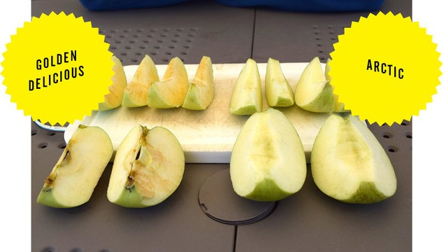 Picture 5 of Why do apple pieces turn brown after cutting?