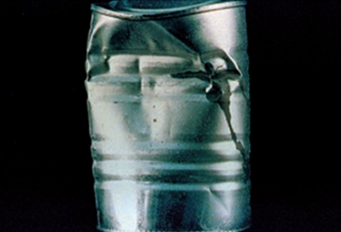 Picture 4 of Why do canned foods have a shelf life of several years?