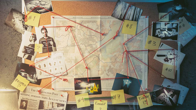 Picture 2 of Why do cases always attract us to become online detectives?