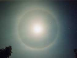 Picture 2 of Why do corals appear around the Sun and Moon?