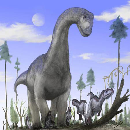 Picture 1 of Why do grass-eating dinosaurs have long necks?