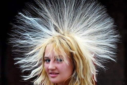 Picture 1 of Why do hairs stand on a dry, cold day?