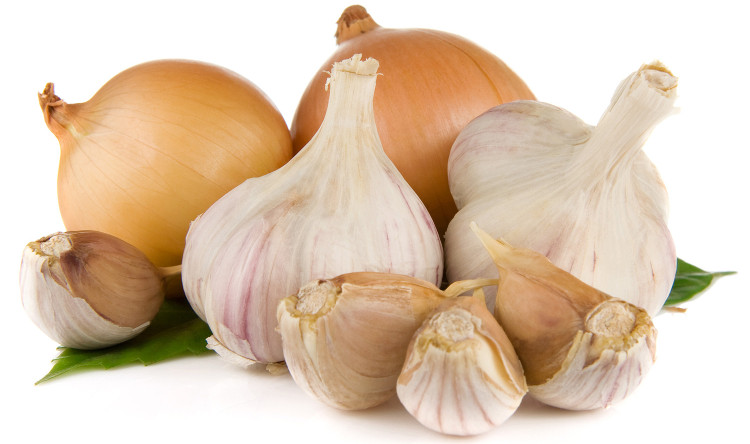 Picture 2 of Why do onions, garlic cause bad breath?