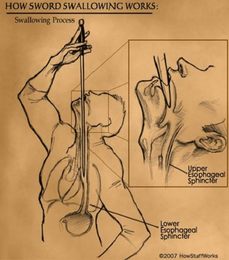 Picture 3 of Why do people swallow swords?