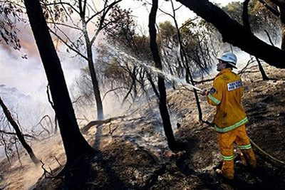 Picture 2 of Why do so many Australians die from forest fires?
