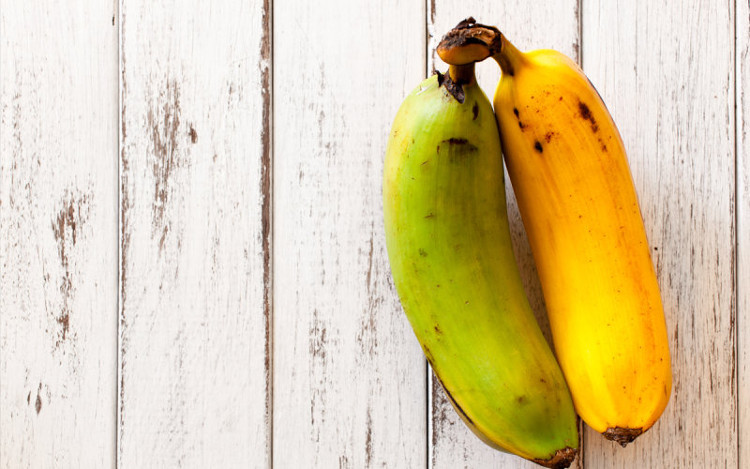 Picture 2 of Why do some fruits have starch?