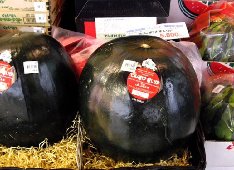 Picture 3 of Why do some Japanese fruits have super expensive prices?