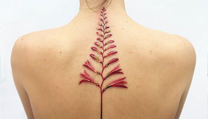 Picture 1 of Why do tattoo carriers rarely suffer from seasonal diseases?