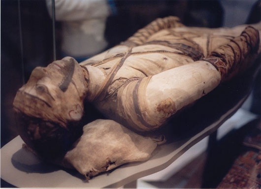 Picture 1 of Why do the Egyptians marvel?