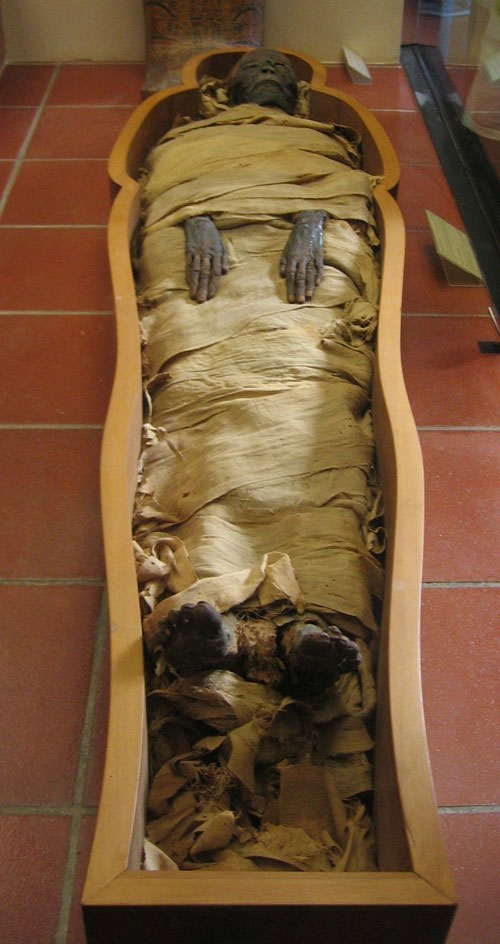 Picture 2 of Why do the Egyptians marvel?