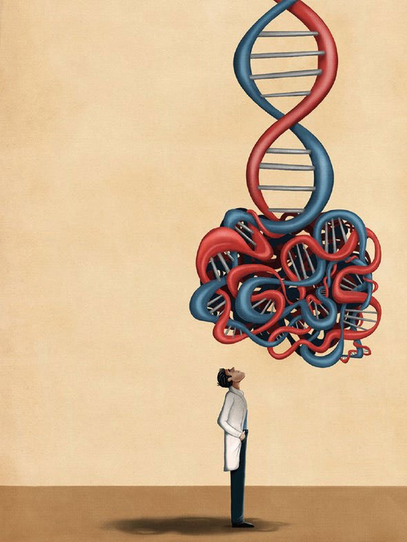 Why do we age: The most accurate hypotheses explain the aging process of the body images 4