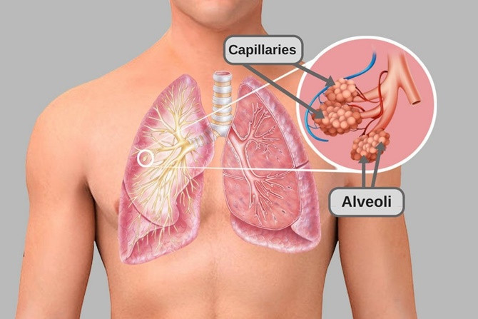 Picture 4 of Why do we breathe out carbon dioxide?