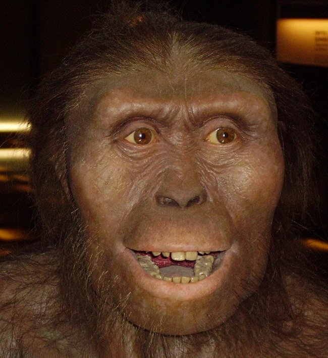 Picture 2 of Why do we humans eat meat now?
