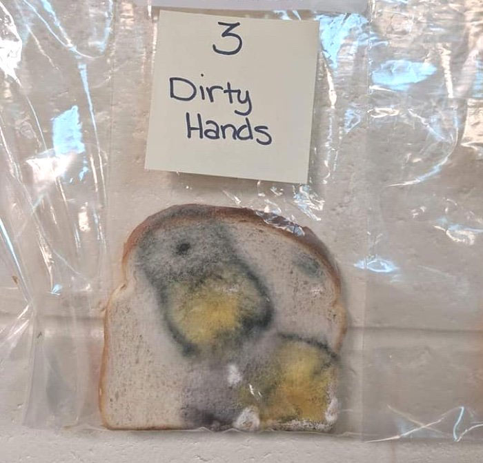 Picture 4 of Why do we need to wash our hands before eating?  This experiment will tell you that!