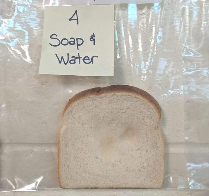 Picture 5 of Why do we need to wash our hands before eating?  This experiment will tell you that!