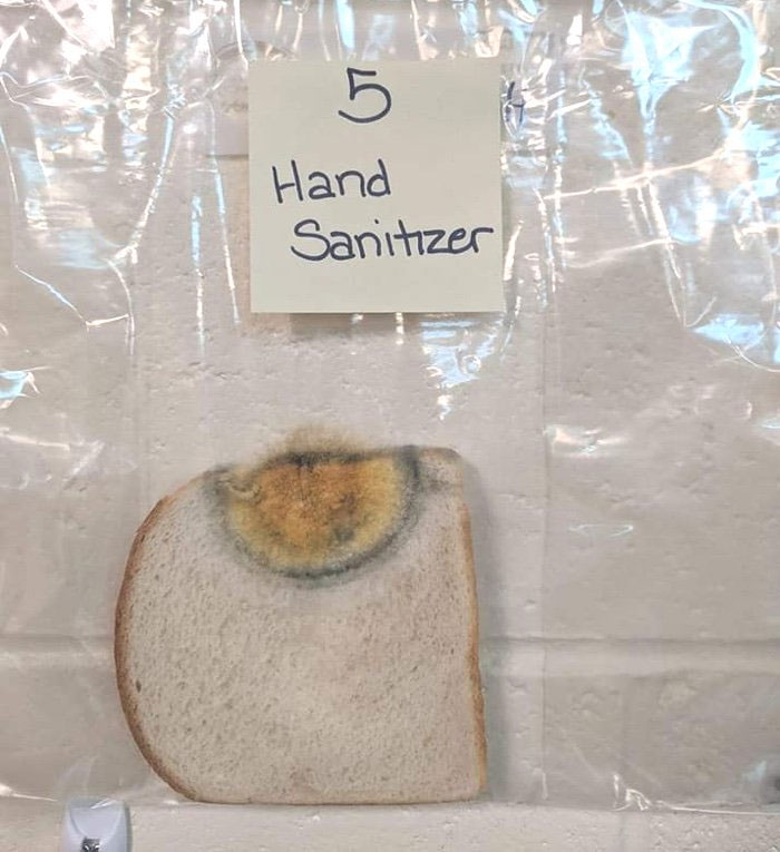 Picture 6 of Why do we need to wash our hands before eating?  This experiment will tell you that!