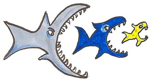 Picture 2 of Why do whales' eat full, don't worry about starving?
