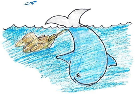 Picture 7 of Why do whales' eat full, don't worry about starving?