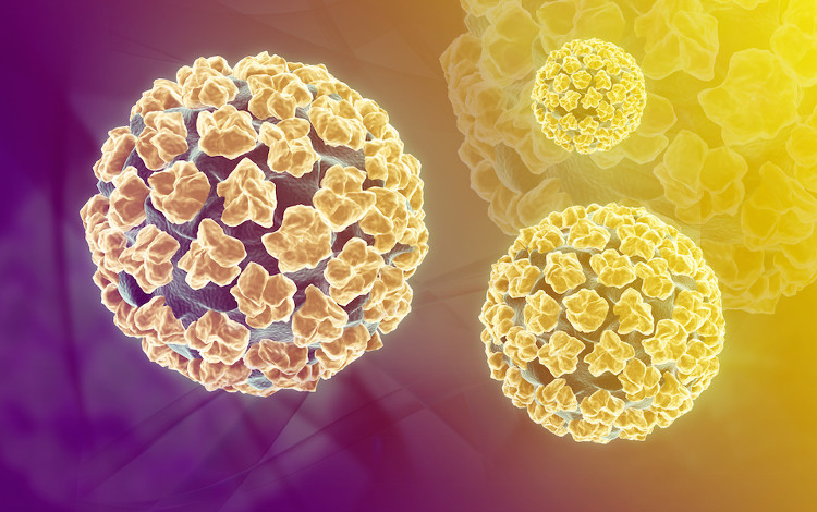 Picture 1 of Why do young children also have genital warts?