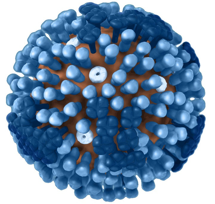 Picture 3 of Why does flu make you uncomfortable?