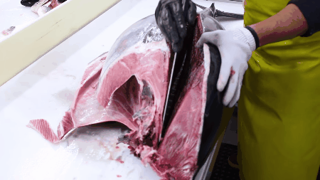 Picture 2 of Why does Japan take a decade to train a professional sushi chef?